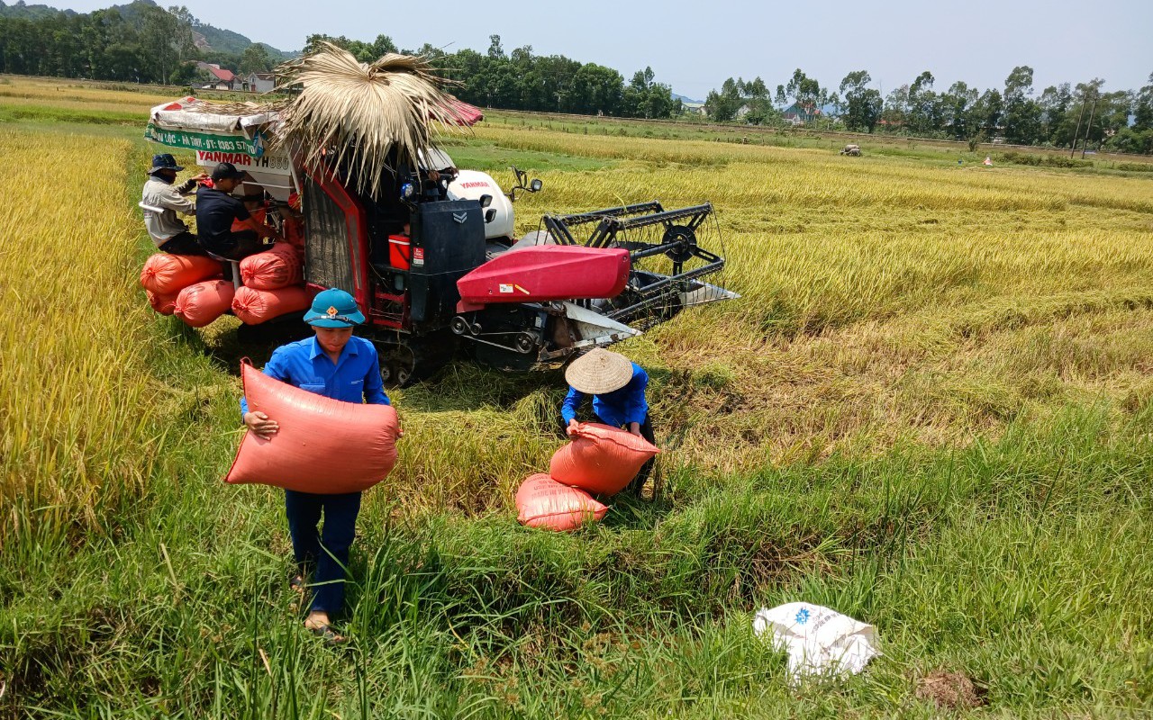 Lương Chủ tịch Hội Liên hiệp phụ nữ Việt Nam cấp xã từ 01/7/2024