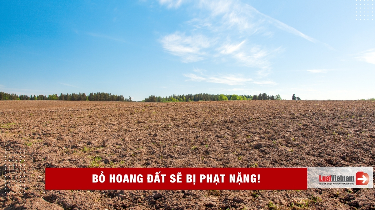 Mức phạt khi bỏ hoang đất cập nhật mới nhất