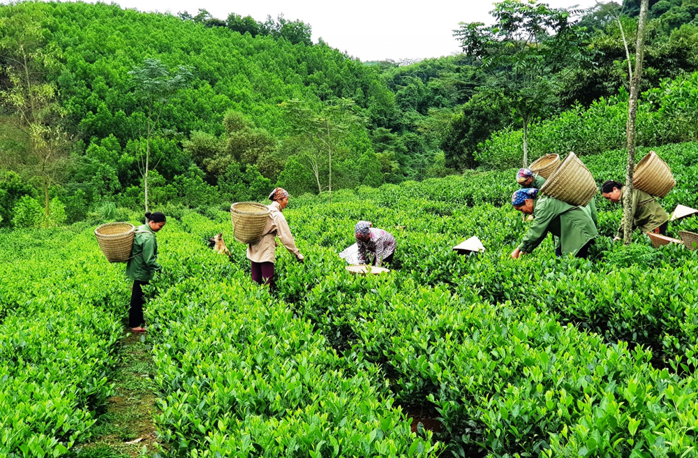 Acceleration of national green growth strategy Acceleration of national green growth strategy