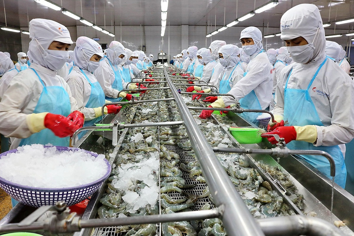 Politburo’s Resolution on private economic sector development Politburo’s Resolution on private economic sector development