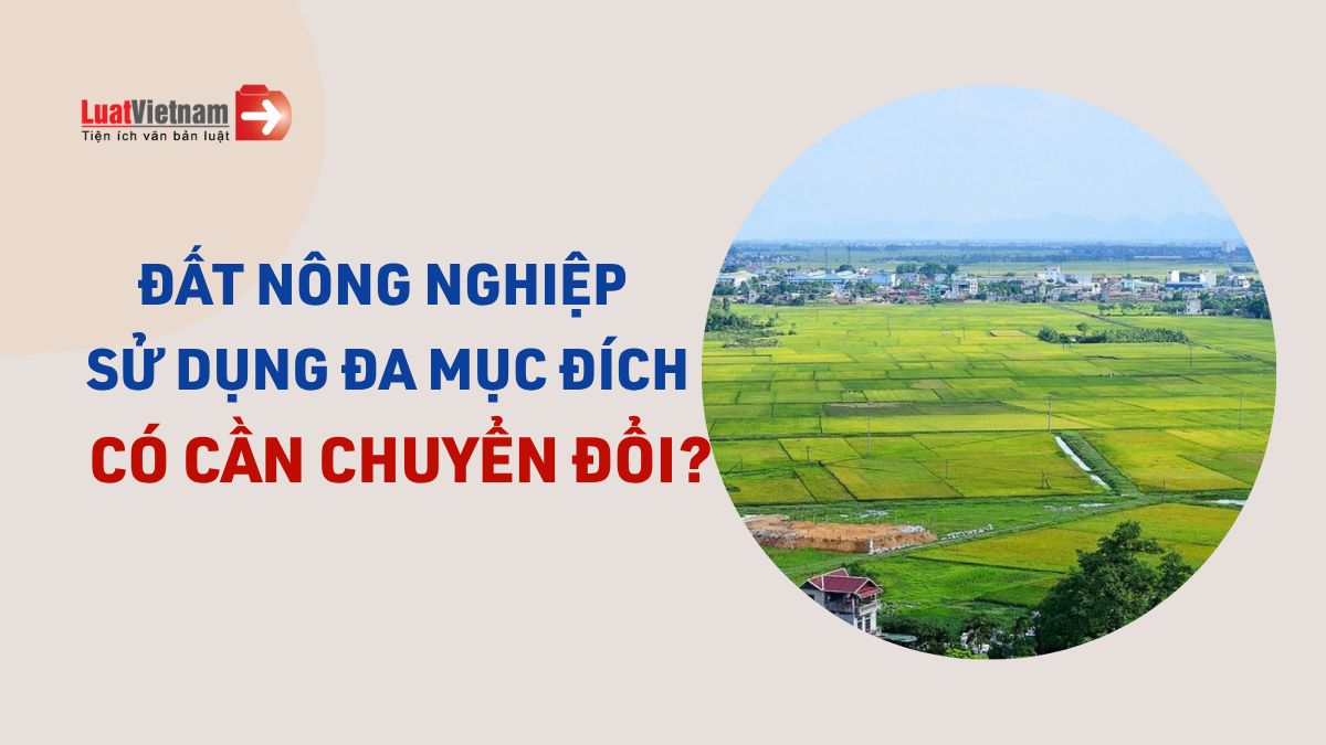 Đất nông nghiệp sử dụng đa mục đích không cần chuyển đổi Đất nông nghiệp sử dụng đa mục đích không cần chuyển đổi