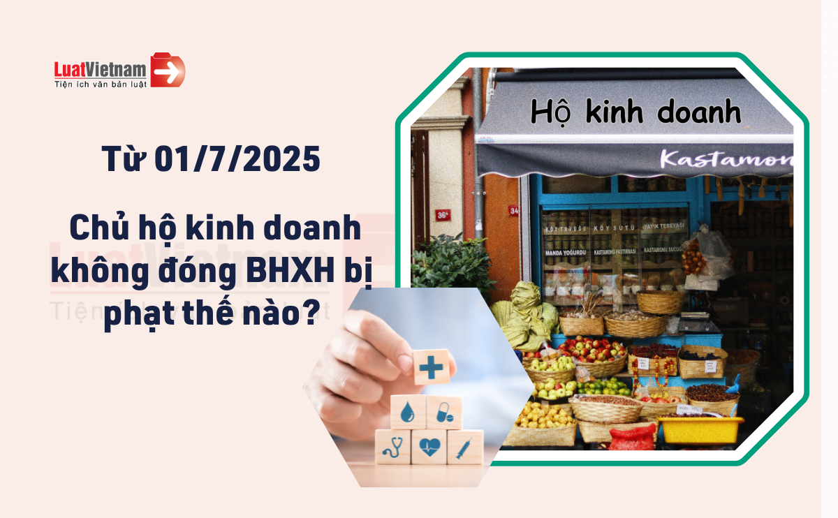 Chủ hộ kinh doanh không đóng BHXH bị phạt thế nào? Chủ hộ kinh doanh không đóng BHXH bị phạt thế nào?