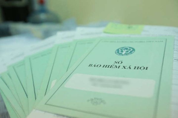 BHXH TP Hồ Chí Minh chỉ đạo về việc rà soát sổ bảo hiểm xã hội BHXH TP Hồ Chí Minh chỉ đạo về việc rà soát sổ bảo hiểm xã hội