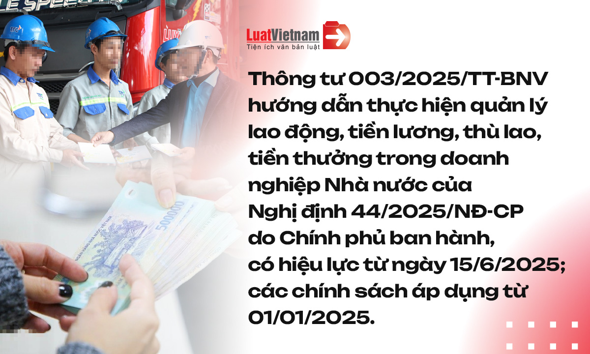 Chính sách mới có hiệu lực tháng 6/2025 Chính sách mới có hiệu lực tháng 6/2025