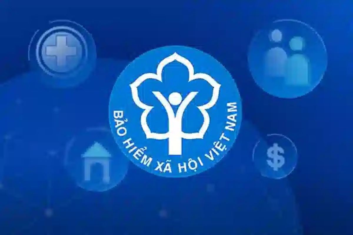 Tổ chức lại 35 bảo hiểm xã hội khu vực thành 34 bảo hiểm xã hội tỉnh, thành Tổ chức lại 35 bảo hiểm xã hội khu vực thành 34 bảo hiểm xã hội tỉnh, thành