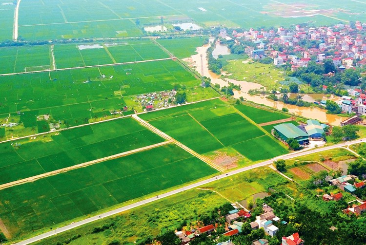 Không phải chỉnh lý giấy tờ, hồ sơ liên quan đến đất đai sau khi sắp xếp chính quyền 2 cấp Không phải chỉnh lý giấy tờ, hồ sơ liên quan đến đất đai sau khi sắp xếp chính quyền 2 cấp