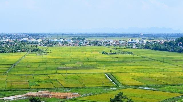 cap-xa-quyet-dinh-giao-dat