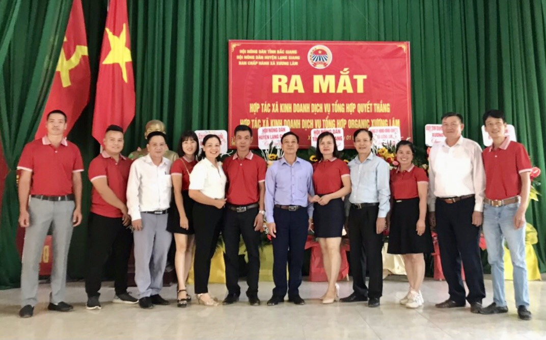 mau-giay-de-nghi-dang-ky-hop-tac-xa-1