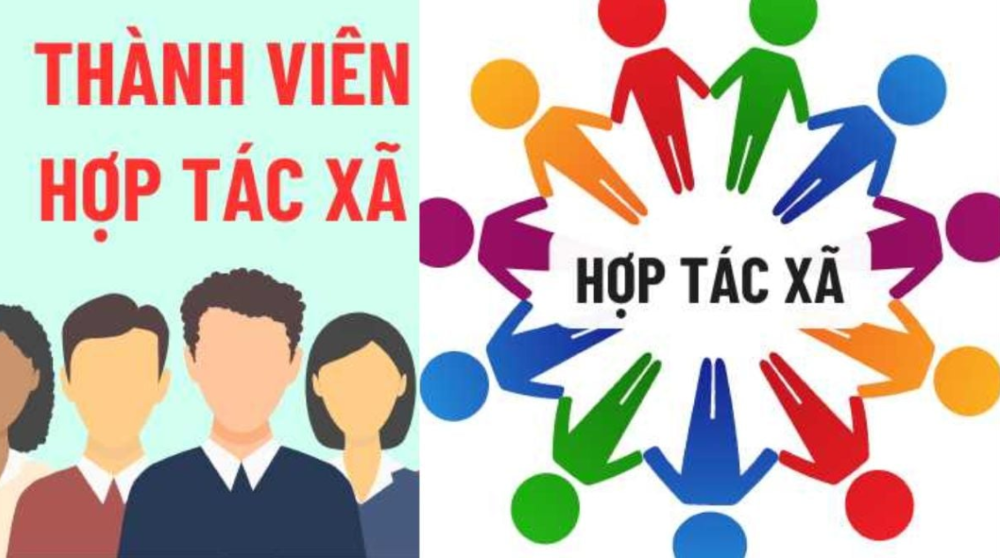 Mẫu danh sách thành viên hợp tác xã Mẫu danh sách thành viên hợp tác xã