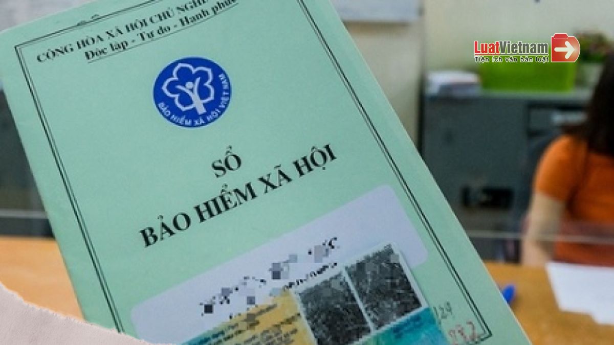 chậm đóng BHXH bao lâu thì bị coi là trốn đóng chậm đóng BHXH bao lâu thì bị coi là trốn đóng