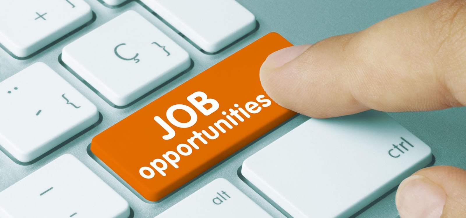 employment service operation licenses to enterprises employment service operation licenses to enterprises