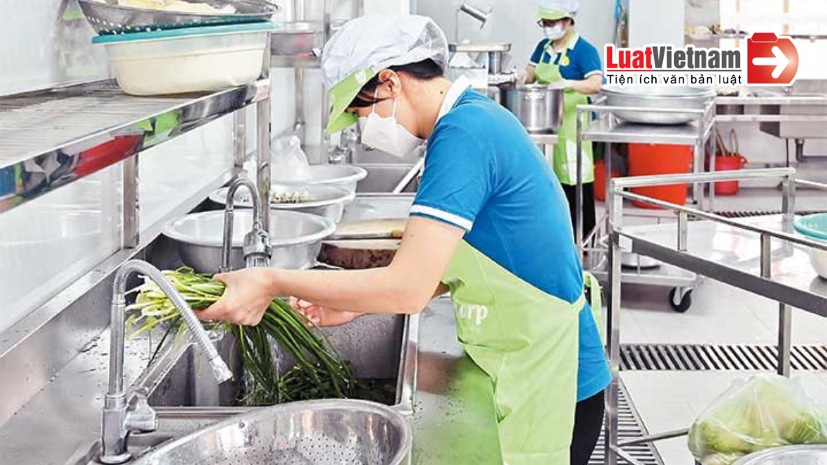Quy định đấu thầu cung cấp thực phẩm cho trường học từ 04/8/2025 Quy định đấu thầu cung cấp thực phẩm cho trường học từ 04/8/2025