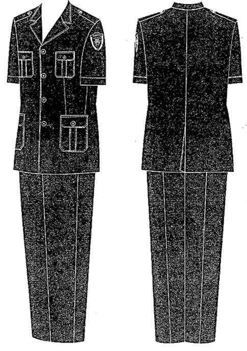 Nghị định 03/2016/NĐ-CP của Chính phủ về việc quy định chi tiết và biện pháp thi hành một số điều của Luật Dân quân tự vệ