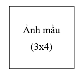 Thông tư 60/2012/TT-BGDĐT của Bộ Giáo dục và Đào tạo về việc ban hành Quy định về kiểm định viên kiểm định chất lượng giáo dục