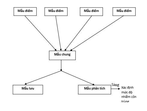 Quyết định 35/2004/QĐ-BTC của Bộ Tài chính về việc ban hành các tiêu chuẩn về bảo quản hàng hoá Dự trữ Quốc gia