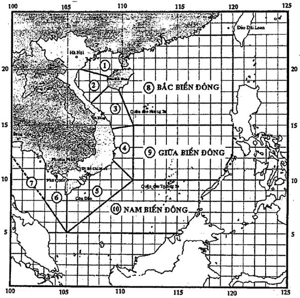 Quyết định 03/2020/QĐ-TTg của Thủ tướng Chính phủ quy định về dự báo, cảnh báo và truyền tin thiên tai