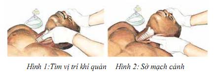 Quyết định 2919/QĐ-BYT của Bộ Y tế về việc ban hành 