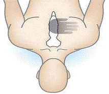 Quyết định 2919/QĐ-BYT của Bộ Y tế về việc ban hành 