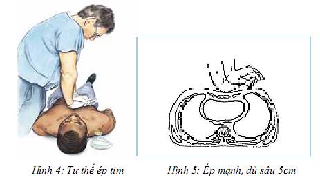 Quyết định 2919/QĐ-BYT của Bộ Y tế về việc ban hành 