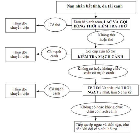 Quyết định 2919/QĐ-BYT của Bộ Y tế về việc ban hành 