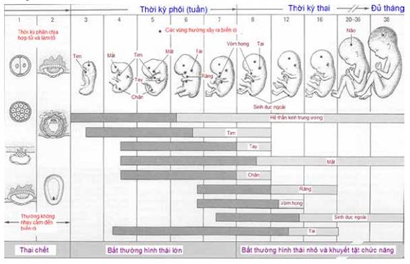 Quyết định 2919/QĐ-BYT của Bộ Y tế về việc ban hành 