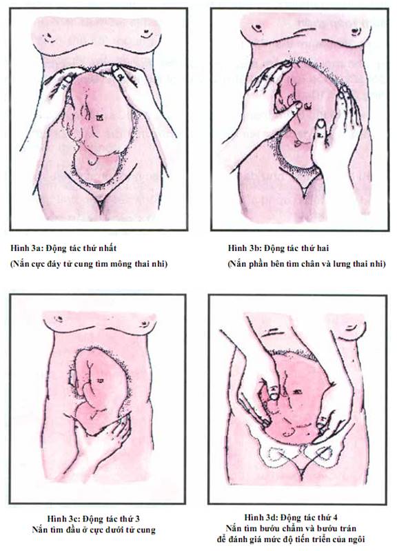 Quyết định 2919/QĐ-BYT của Bộ Y tế về việc ban hành 