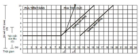 Quyết định 2919/QĐ-BYT của Bộ Y tế về việc ban hành 