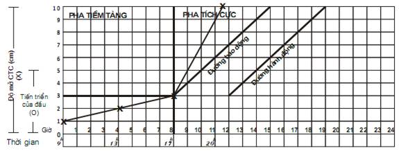 Quyết định 2919/QĐ-BYT của Bộ Y tế về việc ban hành 