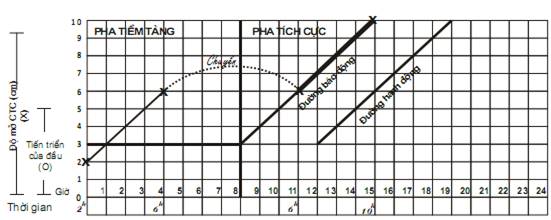 Quyết định 2919/QĐ-BYT của Bộ Y tế về việc ban hành 