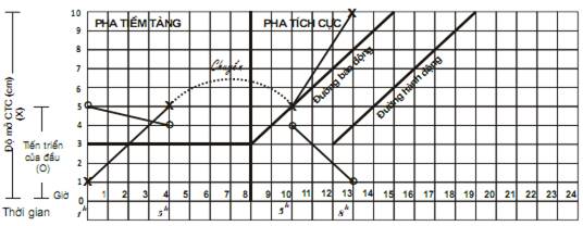 Quyết định 2919/QĐ-BYT của Bộ Y tế về việc ban hành 
