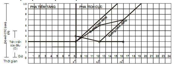 Quyết định 2919/QĐ-BYT của Bộ Y tế về việc ban hành 