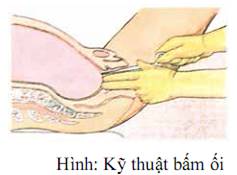 Quyết định 2919/QĐ-BYT của Bộ Y tế về việc ban hành 