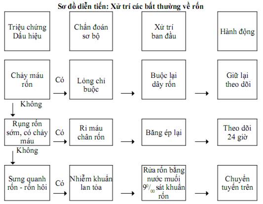 Quyết định 2919/QĐ-BYT của Bộ Y tế về việc ban hành 