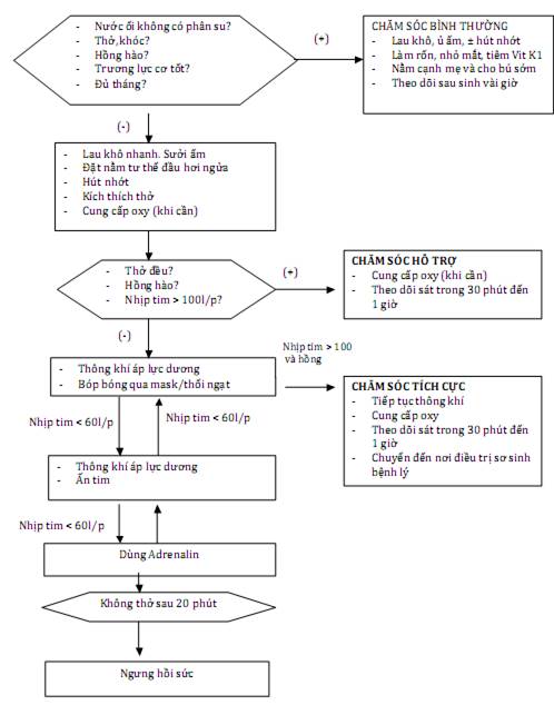 Quyết định 2919/QĐ-BYT của Bộ Y tế về việc ban hành 