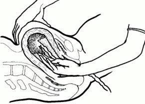 Quyết định 2919/QĐ-BYT của Bộ Y tế về việc ban hành 