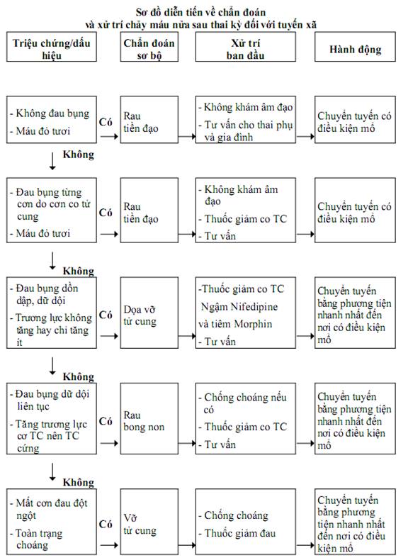 Quyết định 2919/QĐ-BYT của Bộ Y tế về việc ban hành 