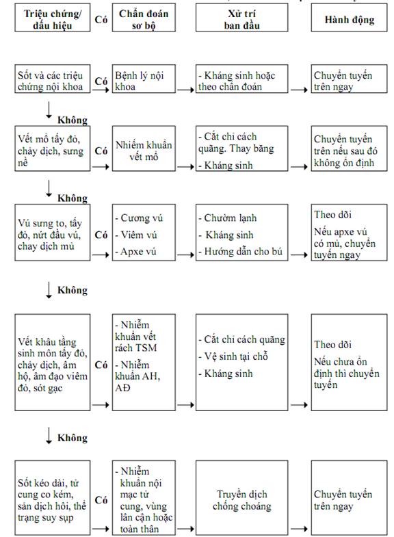 Quyết định 2919/QĐ-BYT của Bộ Y tế về việc ban hành 