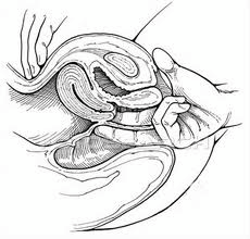 Quyết định 2919/QĐ-BYT của Bộ Y tế về việc ban hành 