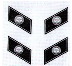 Thông tư 39/2015/TT-BYT của Bộ Y tế quy định về tiêu chuẩn, trang phục và thẻ của người được giao thực hiện nhiệm vụ thanh tra và chuyên ngành về y tế