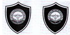 Thông tư 39/2015/TT-BYT của Bộ Y tế quy định về tiêu chuẩn, trang phục và thẻ của người được giao thực hiện nhiệm vụ thanh tra và chuyên ngành về y tế