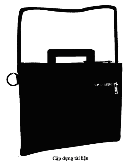 Thông tư 47/2016/TT-BGTVT của Bộ Giao thông Vận tải quy định về trang phục, phù hiệu, cấp hiệu và biển hiệu của công chức, viên chức và nhân viên Cảng vụ hàng không