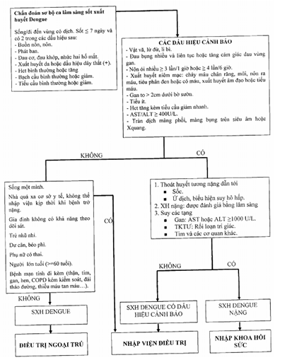 Quyết định 3705/QĐ-BYT của Bộ Y tế về việc ban hành Hướng dẫn chẩn đoán, điều trị sốt xuất huyết Dengue