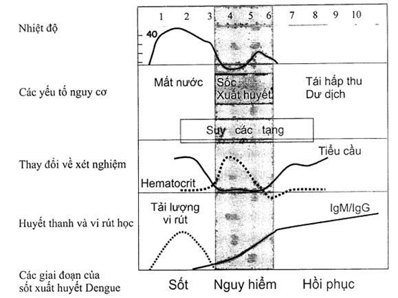 Quyết định 3705/QĐ-BYT của Bộ Y tế về việc ban hành Hướng dẫn chẩn đoán, điều trị sốt xuất huyết Dengue