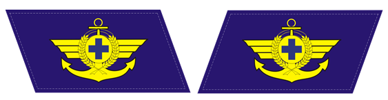 Quyết định 48/2006/QĐ-BNN của Bộ Bộ Nông nghiệp và Phát triển nông thôn về việc ban hành quy định về trang phục, phù hiệu, cấp hiệu, biển hiệu, thẻ kiểm dịch động vật