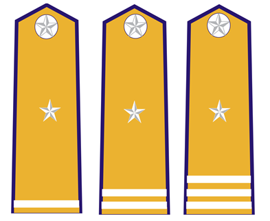 Quyết định 48/2006/QĐ-BNN của Bộ Bộ Nông nghiệp và Phát triển nông thôn về việc ban hành quy định về trang phục, phù hiệu, cấp hiệu, biển hiệu, thẻ kiểm dịch động vật