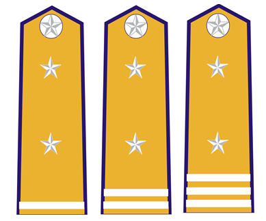 Quyết định 48/2006/QĐ-BNN của Bộ Bộ Nông nghiệp và Phát triển nông thôn về việc ban hành quy định về trang phục, phù hiệu, cấp hiệu, biển hiệu, thẻ kiểm dịch động vật