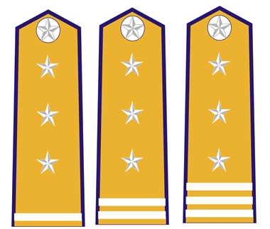 Quyết định 48/2006/QĐ-BNN của Bộ Bộ Nông nghiệp và Phát triển nông thôn về việc ban hành quy định về trang phục, phù hiệu, cấp hiệu, biển hiệu, thẻ kiểm dịch động vật