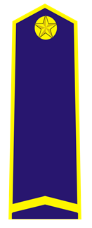 Quyết định 48/2006/QĐ-BNN của Bộ Bộ Nông nghiệp và Phát triển nông thôn về việc ban hành quy định về trang phục, phù hiệu, cấp hiệu, biển hiệu, thẻ kiểm dịch động vật