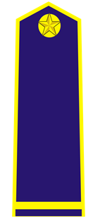 Quyết định 48/2006/QĐ-BNN của Bộ Bộ Nông nghiệp và Phát triển nông thôn về việc ban hành quy định về trang phục, phù hiệu, cấp hiệu, biển hiệu, thẻ kiểm dịch động vật