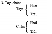 Thông tư 170/2021/TT-BQP của Bộ Quốc phòng quy định về đào tạo, sát hạch, cấp Giấy phép lái xe quân sự; bồi dưỡng kiến thức pháp luật về giao thông đường bộ cho người điều khiển xe máy chuyên dùng trong Bộ Quốc phòng